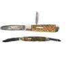 Image 3 : (5) Winchester Pocket Knives