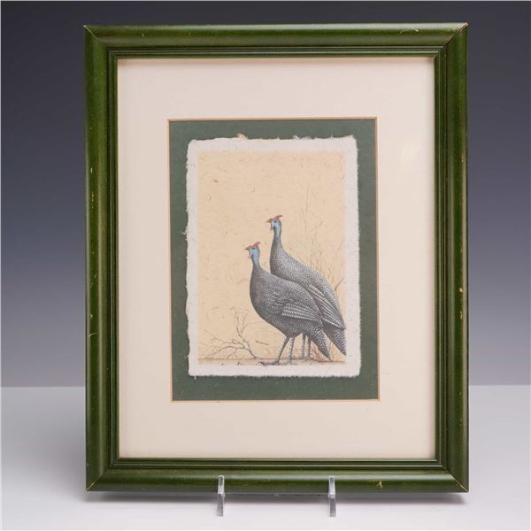 Framed Print on Paper, Helmeted Guinea-Fowl