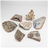 Image 1 : 7pc Fossilized Pottery Fragments (Shards)