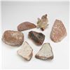 Image 2 : 7pc Fossilized Pottery Fragments (Shards)