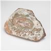 Image 3 : 7pc Fossilized Pottery Fragments (Shards)