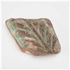 Image 4 : 7pc Fossilized Pottery Fragments (Shards)