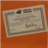 Image 6 : 1995 Carolina Panthers Inaugural Home Game Outside Ticket Poster