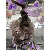 Image 4 : 4.5 inch AMETHYST CRYSTAL TREE WITH AMETHYST BASE WITH 7 BRANCH