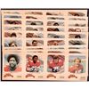 Image 1 : 1981 RED ROOSTER CALGARY STAMPEDERS