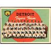 Image 1 : 1959 TOPPS GRAY BACKS - DETROIT TIGERS