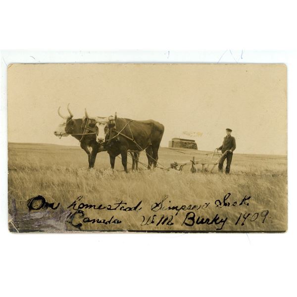 1909 RPPC – “On Homestead, Simpson Sask.  Canada.  W.M. Bunky 1909.”