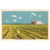 Image 1 : Vintage Post Card – “Wheat Field and Elevator, Saskatoon, Sask., Canada”