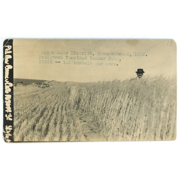 1915 RPPC – “Snipe Lake District, Saskatchewan, 1915 … Yield – 1