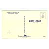 Image 2 : Vintage Post Card – “Cypress Hills Provincial Park, Saskatchewan, Canada”