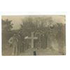 Image 1 : 1909 RPPC – “Here Lies A. Bull.  Died of Lonesomeness on Sept 25,1909…[x=