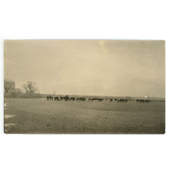 Photo Labeled “Ranch at Saskatchewan Landing, 1909”