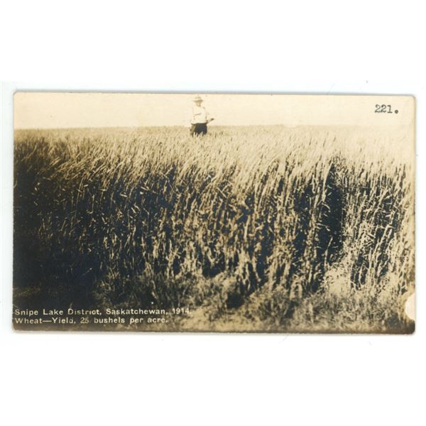 1914 RPPC – “Snipe Lake District, Saskatchewan, 1914”