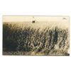 Image 1 : 1914 RPPC – “Snipe Lake District, Saskatchewan, 1914”