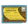 Image 1 : Vintage Saskatoon, SK. Souvenir Folder.  Includes (18) Pictures total (10 double sided cards with me