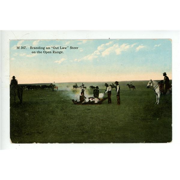 Vintage Post Card – “Branding an ‘Out Law’ Steer on the Open Ran
