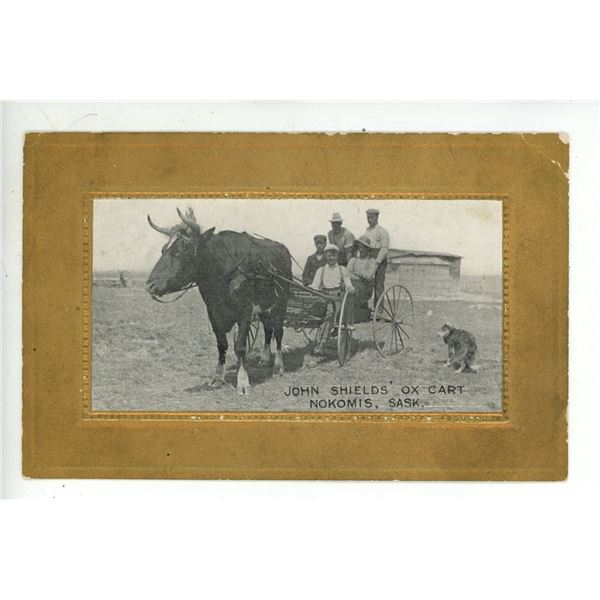 Vintage Post Card – “John Shields’ Ox Cart.  Nokomis, Sask.”