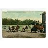 Image 1 : Vintage Post Card – “Bulls, Experimental Farm, Indian Head, Assiniboia”, 