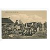 Image 1 : Vintage Post Card – “Galacian Ox-Team, Saltcoats, Sask.”