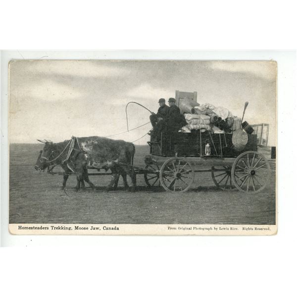 Vintage Post Card – “Homesteaders Trekking, Moose Jaw, Canada”.  Sask.