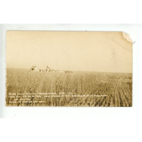 1915 RPPC – “Snipe Lake District, Saskatchewan, 1915 …”