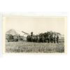 Image 1 : Vintage Photo Harvesting – Stamped “L’Ecuyer’s Photo Studio.  Me