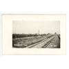Image 1 : Vintage RPPC – “Arborfield, Sask.  Oct. 1929”