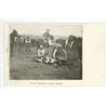 Image 1 : Vintage Post Card – “Ranching in Canada – Branding”