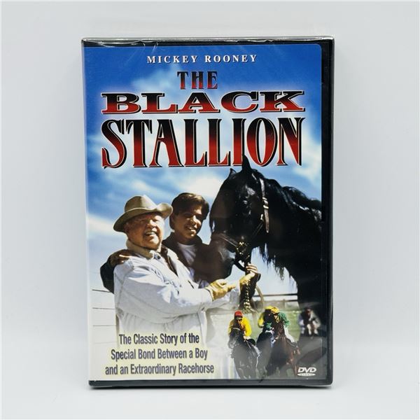 NEW DVD - "THE BLACK STALLION"