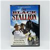 Image 1 : NEW DVD - "THE BLACK STALLION"