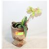 Image 1 : REDDISH-BROWN CLAY VASE + GREEN ORCHID IN
