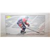 Image 1 : RYAN NUGENT HOPKINS  14 X28 "