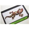 Image 1 : NEW LIZARD 3D COLOURFUL ENCRUSTED RHINESTONES