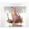 Image 1 : DESIGNED & HANDCRAFTED CANADA OWL RESIN DÉCOR
