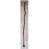 Image 1 : HAND CARVED WALKING STICK
