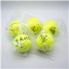Image 1 : LOT OF AUTOGRAPHED PRO TENNIS PLAYER BALLS NO COA