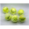 Image 1 : LOT OF AUTOGRAPHED PRO TENNIS PLAYER BALLS NO COA