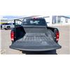 Image 14 : 2015 DODGE RAM ST CREW CAB