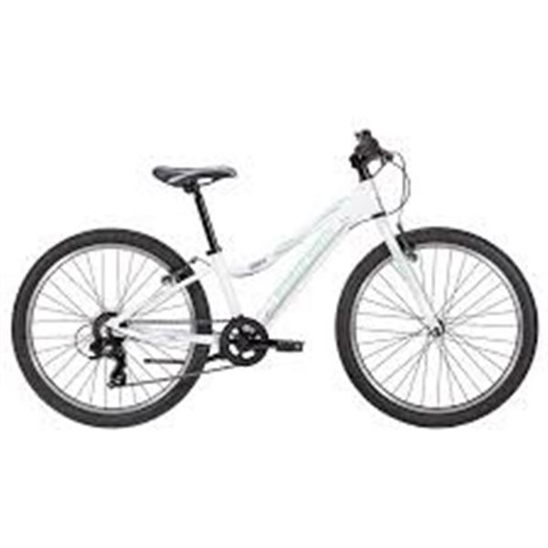 BRAND NEW NORTHROCK GS24 CYCLIST'S BIKE