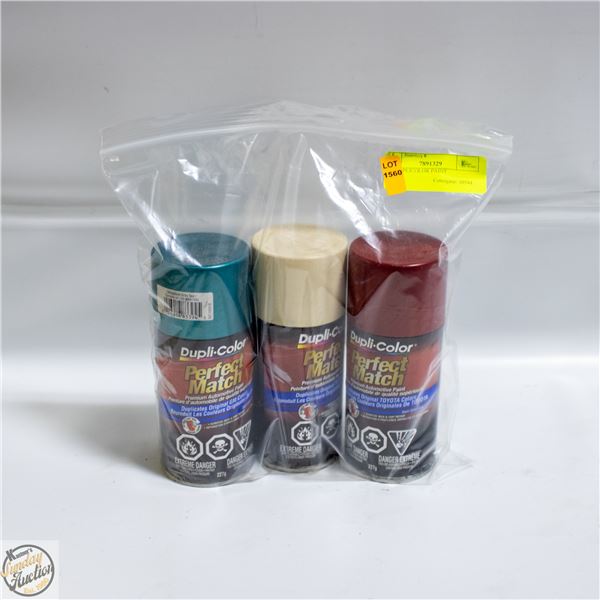 3PK DUPLICOLOR PAINT