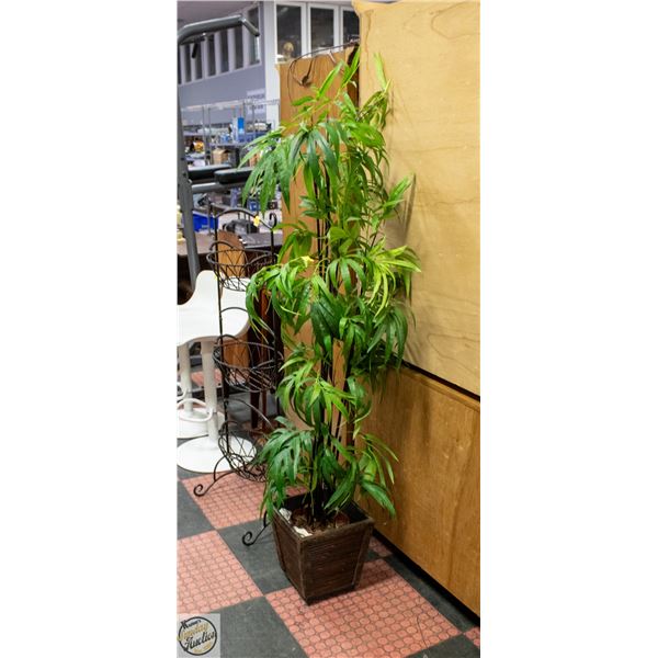 SILK TREE