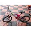 Image 1 : RALEIGH 20" BIKE