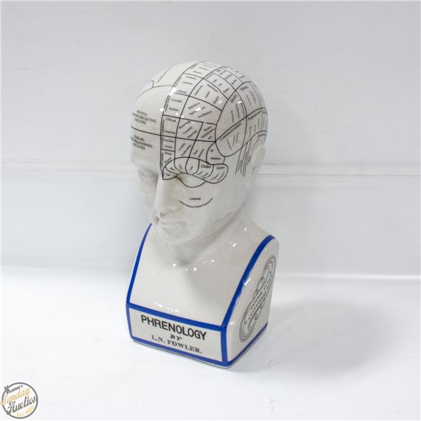 PHRENOLOGY BUST