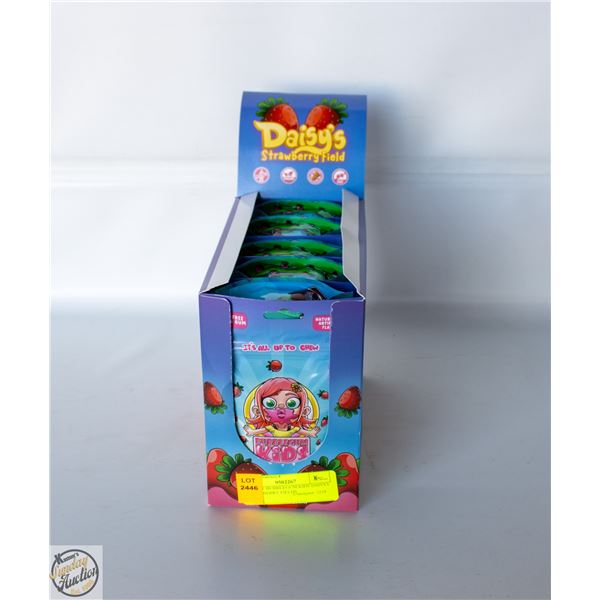 CASE OF BUBBLEGUM KIDS DAISYS STRAWBERRY FIELDS