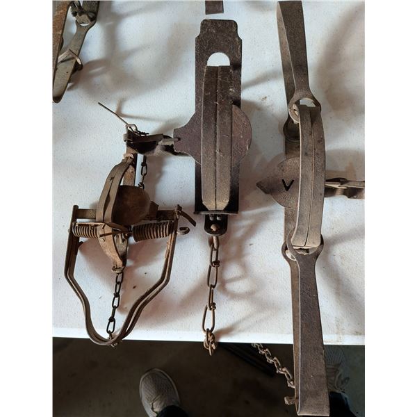 Three Leg Hold Traps Victoria 1.5