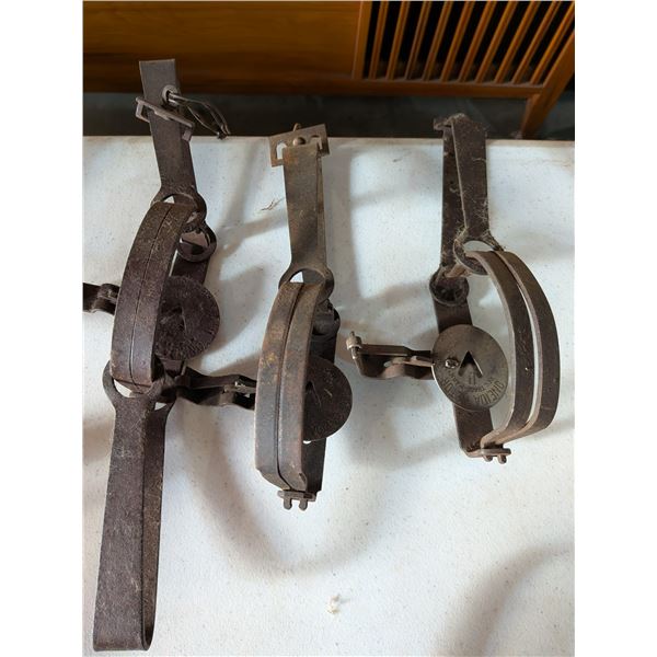 Three Leg Hold Traps Victoria