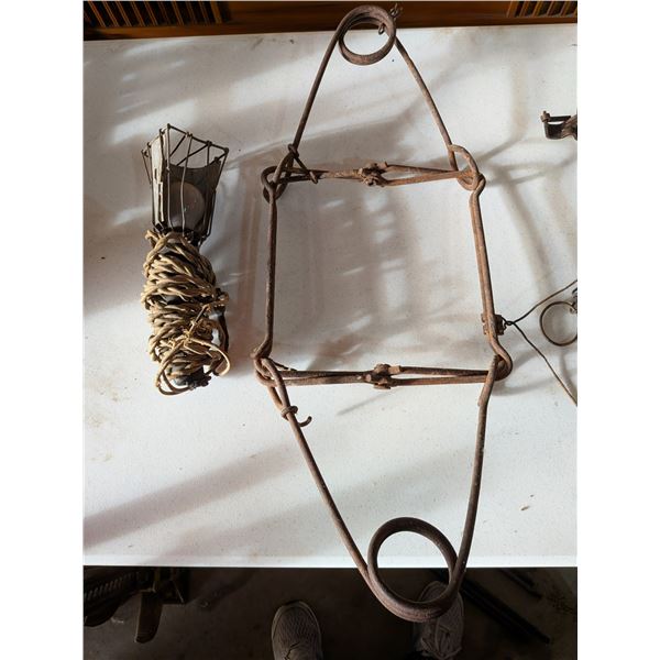 Coni bear Trap and Trouble Light