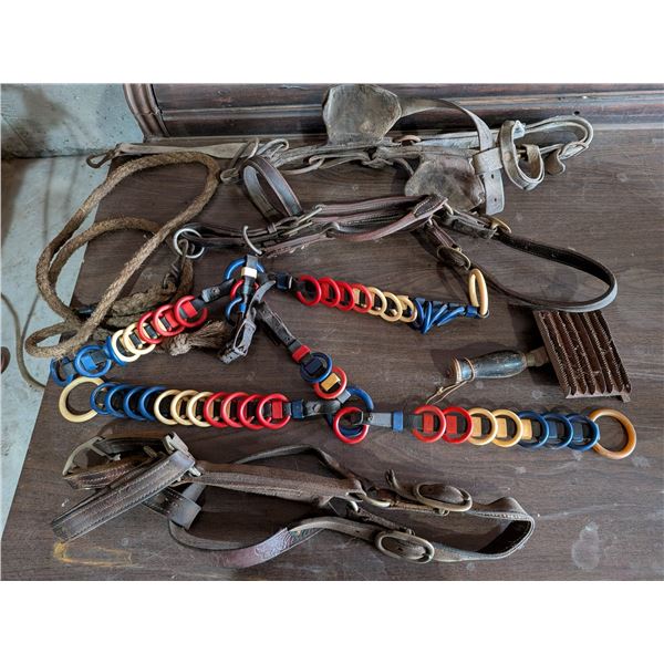 Harness Parts and Halter