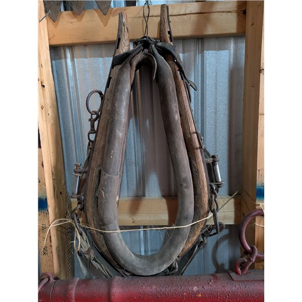 Harness Collar