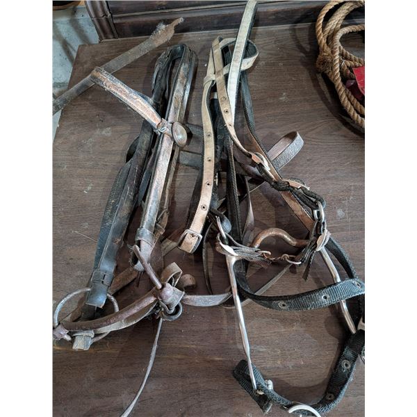 Two Bridles